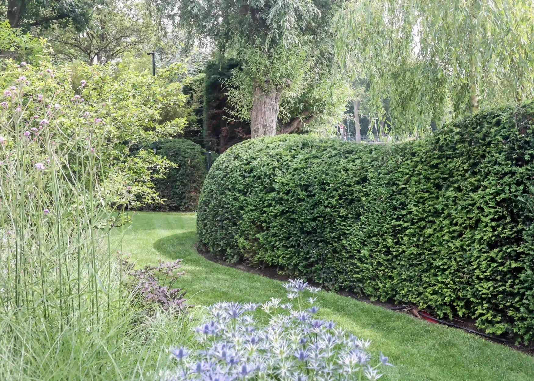 IGC Hoveniers - Hovenier scheveningen